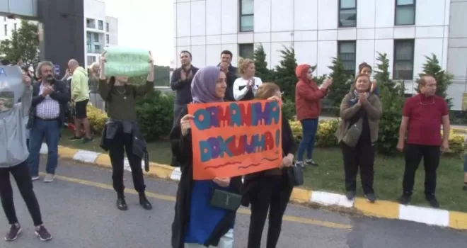 Maltepe’de ağaç kesimine mahalleliden alkışlı tepki
