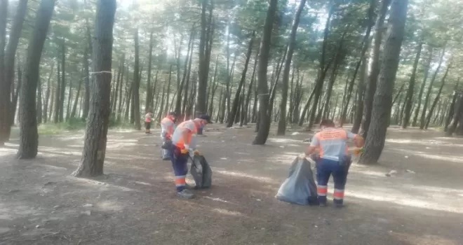 Maltepe’de yangınlara karşı orman temizliği
