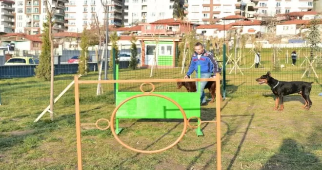 Mamak Belediyesinden ‘Köpek Parkı’
