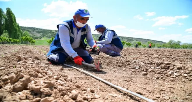 Mamak’ta 33 çeşit bitkinin ata tohumları toprakla buluştu
