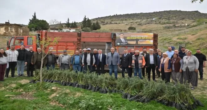 Manisa Büyükşehir yanan alanları yeşillendiriyor