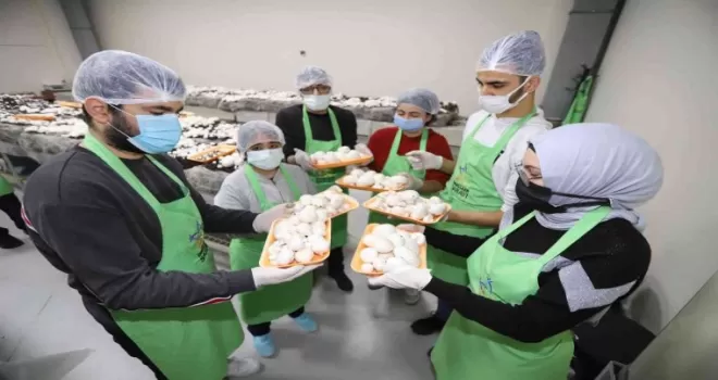 Mantar hasadı engellilerin yüzünü güldürdü
