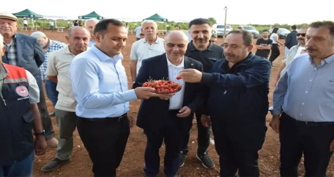 Mardin Ömerli’de doğa ve kültür buluştu