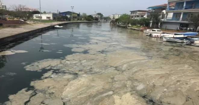 Marmara Deniz’inde "deniz salyası" istilası sürüyor
