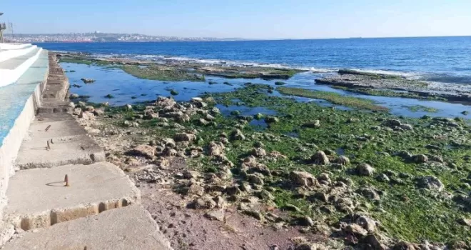 Marmara Denizi 25 metre çekildi: “Depremle alakası yok“
