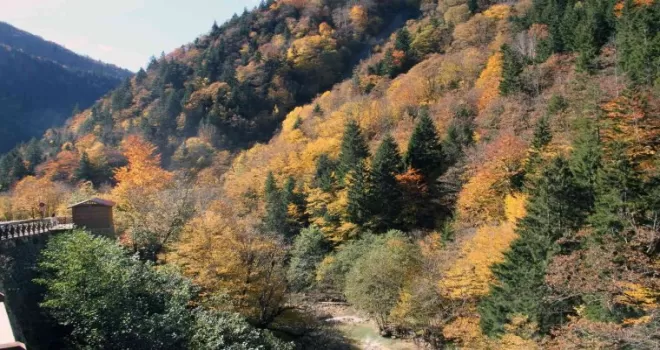 Mavi Göl’de sonbahar manzaraları