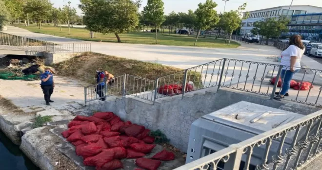 Menekşe Plajında kaçak midye avcılığı yapanlara operasyon
