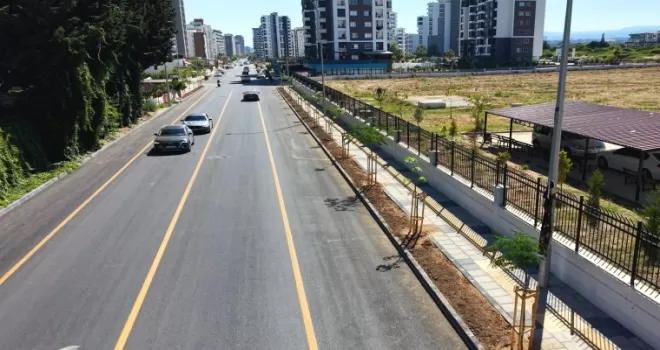 Mersin’de Gazi Paşa Caddesi 420 ağaçla yeşillendi