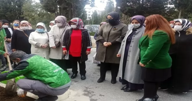 Milli Ağaçlandırma Günü’nde anlamlı fidan dikimi
