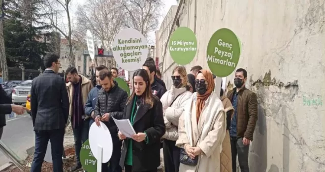 Mimari ve Şehircilik Platformu’ndan İBB’ye "Çınar ağacı’ tepkisi
