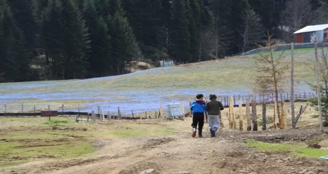 Mor Yayla’da ’Korona’ sessizliği
