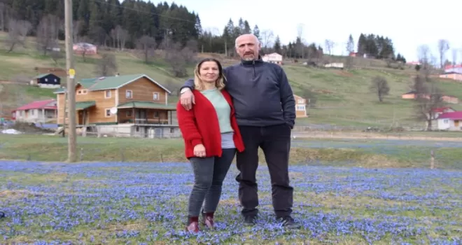 Mor Yayla’nın Mavi Yıldız çiçekleri açtı
