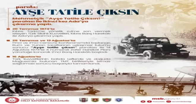 MSB’den "Ayşe tatile çıksın" paylaşımı
