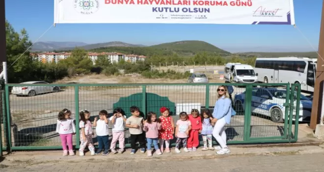 Muğla Büyükşehir’den can dostlara dört dörtlük hizmet