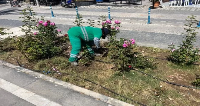 Muğla Milas’ta bayram öncesi bakım