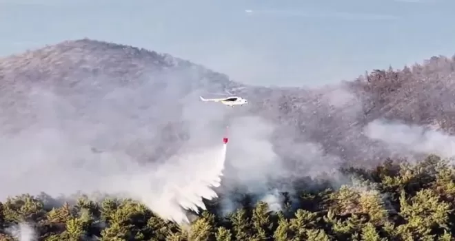 Muğla Milas’taki yangın büyük ölçüde kontrol altında
