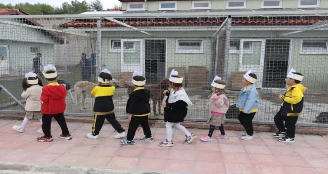 Muğlalı minik yüreklerden can dostlara ziyaret