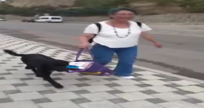 Muhtarın çantasını taşıyan sokak köpeği gülümsetti
