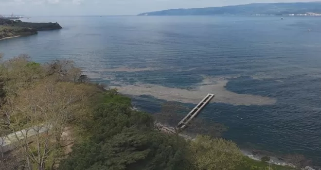 Müsilaj Gemlik Körfezi’nde yeniden görüldü