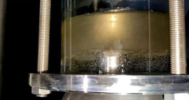 Nallıhan Belediyesi’nden lavanta üreticilerine destek
