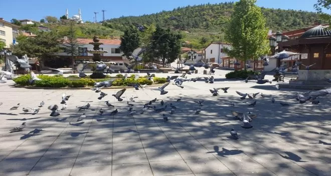 Nallıhan’da Cumhuriyet Meydanı güvercinlere kaldı
