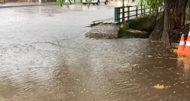 Nallıhan’da dolu yağışı hayatı olumsuz etkiledi
