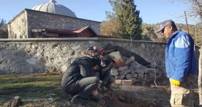 Nallıhan’da hayırseverlerin desteği ile meyve ağacı fidanları dikildi
