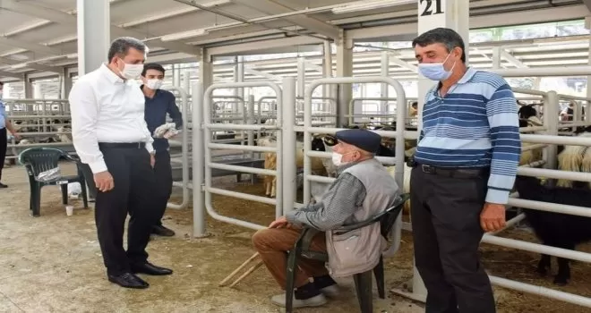 Nallıhan’da Kurban Bayramı telaşı tüm hızıyla devam ediyor
