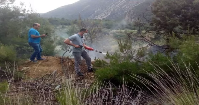 Nallıhan’da ormanlık alanda yangın
