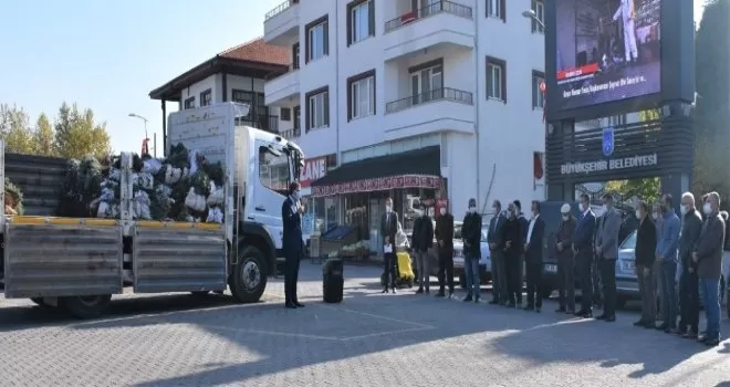 Nallıhanlı üreticilere lavanta fidesi dağıtımı devam ediyor
