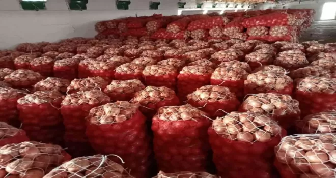Nisan ayında en çok kuru soğan pahalandı