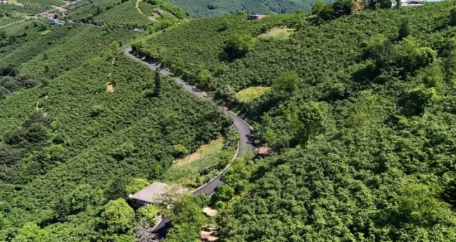 Ordu’da 3,5 kilometrelik asfalt tamamlandı