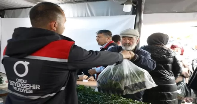 Ordu’da 300 bin yazlık sebze fidesi dağıtımı başladı