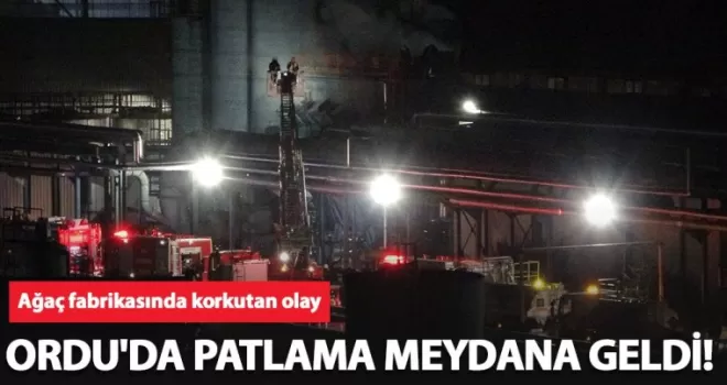 Ordu’da faaliyet gösteren bir ağaç fabrikasında patlama meydana geldi!
