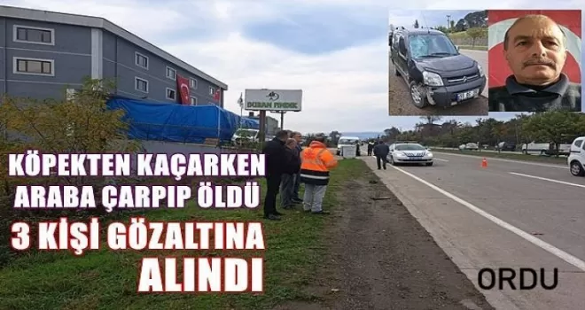 Ordu’da Köpekten Kaçan Temizlik İşçisi Araç Çarpması Sonucu Hayatını Kaybetti!