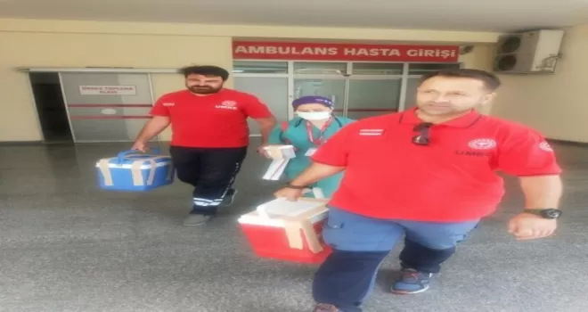 Organ bağışı 3 hastaya şifa oldu
