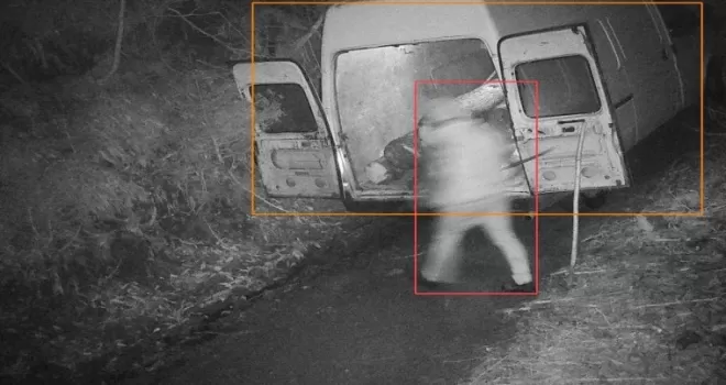 Ormandan kaçak tomruk kesen kişi fotokapana yakalandı

