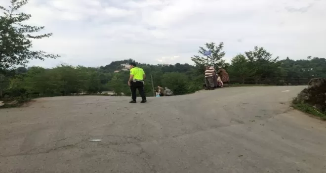 Otomobil çay bahçesine devrildi: 1 yaralı
