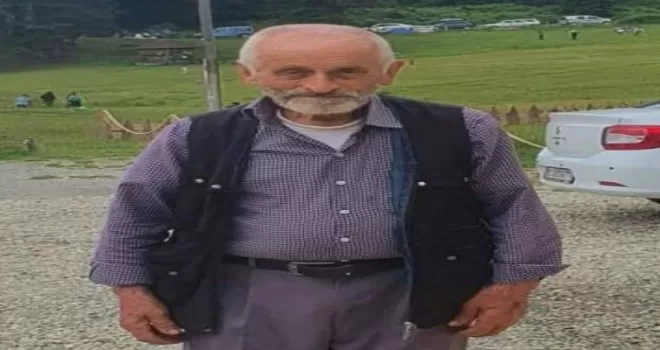 Otomobilin çarptığı yaşlı adam hayatını kaybetti

