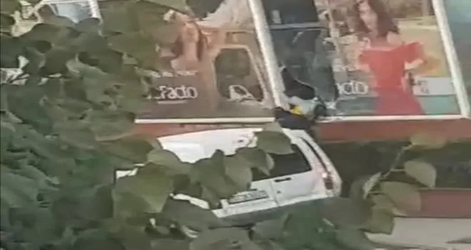 AVM’deki mağazanın camının kırarak onlarca mont çaldılar