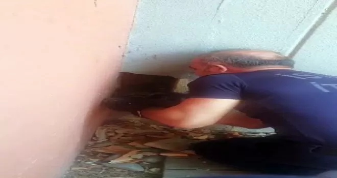 (Özel) Bahçeşehir’de yavru kediyi kurtarma operasyonunda iç ısıtan görüntüler
