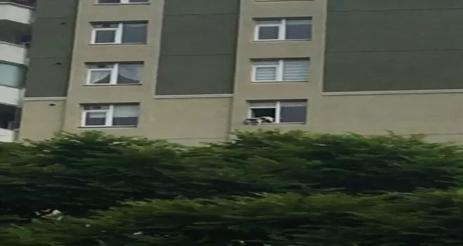 Evde tek kalan köpek pencereden sarktı, yürekler ağza geldi