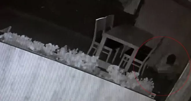 (Özel) Hırsızlık yapmak için geldiği dükkanın ortasına tuvaletini yaptı
