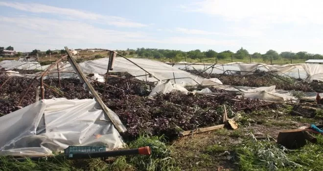 (Özel) Hortumun vurduğu seralar drone ile görüntülendi
