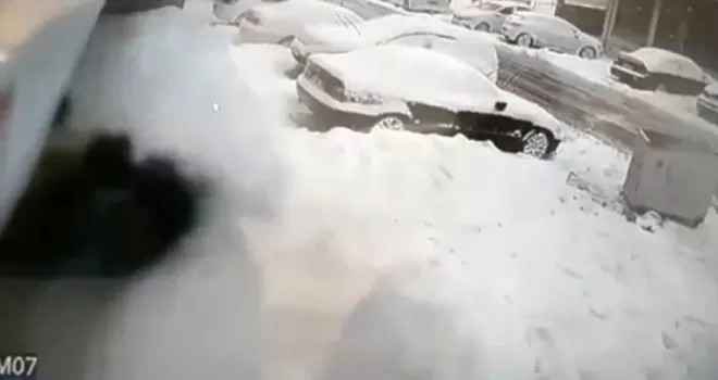 (Özel) İstanbul’da pitbull dehşeti
