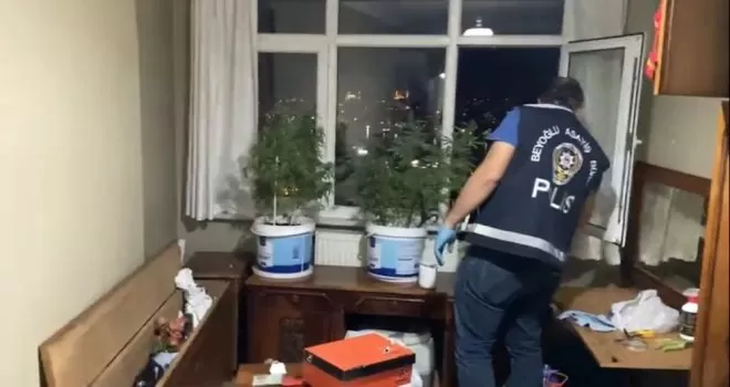 İstanbul’un göbeğindeki uyuşturucu serasına operasyon 