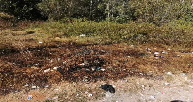  Kağıthane’de yeşil alanı yakan şahıs, kaza yapınca yakaladı