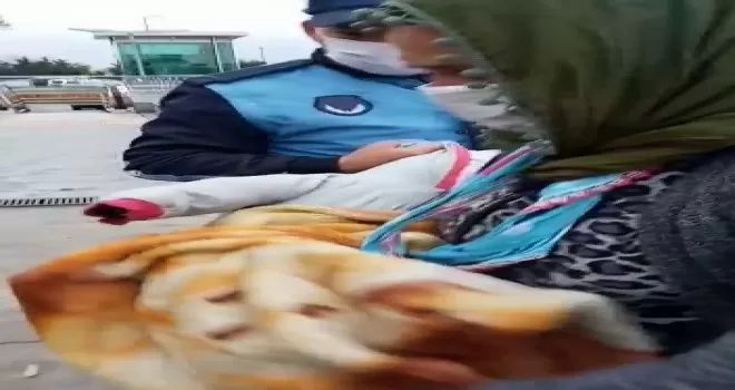 Kucağında bez bebek ile dilencilik yapan kadının foyası ortaya çıktı