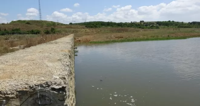 (Özel) Ömerli Barajında ölen balıklar iş makineleriyle toprağa gömülüyor
