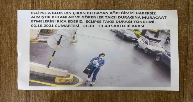(ÖZEL) Sarıyer’de köpek hırsızlığı kamerada
